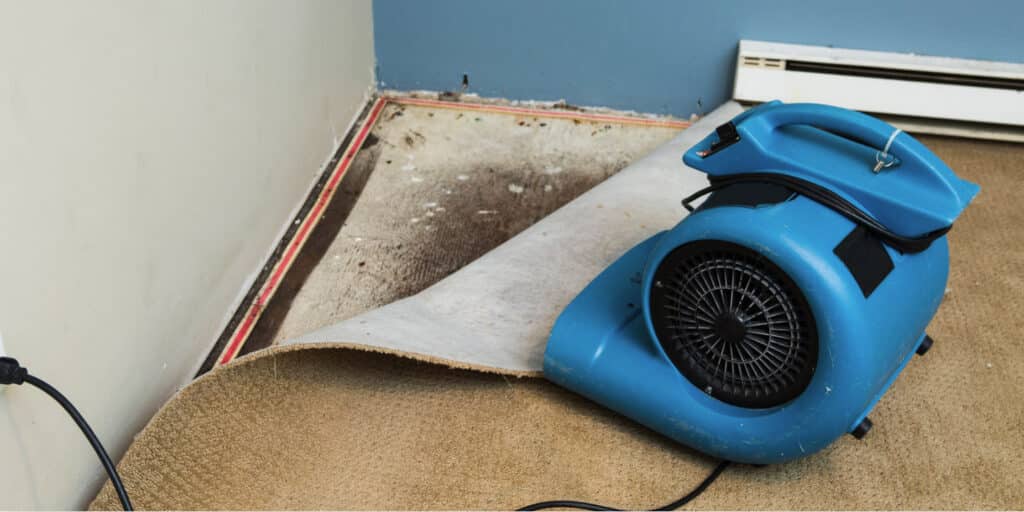 A blue air mover diligently dries the damp carpet in the room's corner, where visible mold and peeling attest to past water damage. Next to a baseboard heater, it's part of a comprehensive water extraction effort by a trusted cleanup service in Utah.